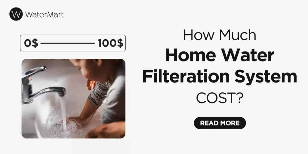 How Much Does A Home Water Filtration System Cost
