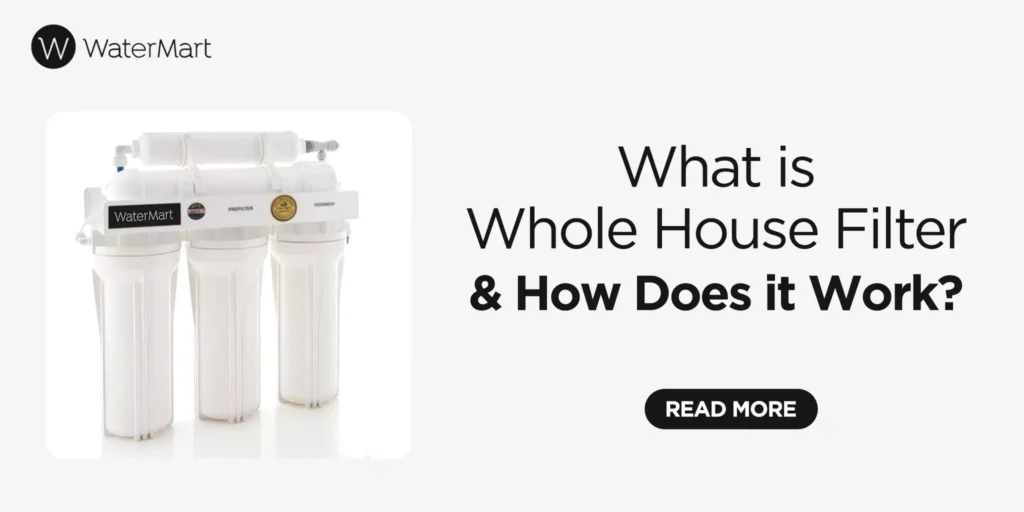 What Is a Whole House Water Filter