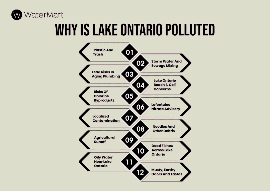 Is Toronto water safe to drink