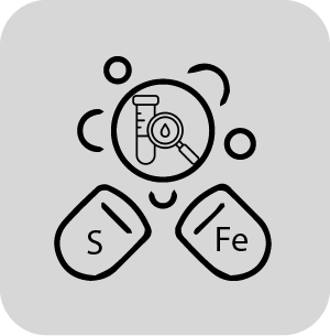 Personalized Testing Recommendations