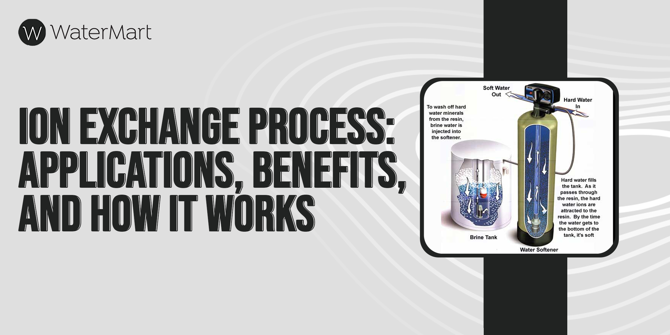 Ion Exchange Process