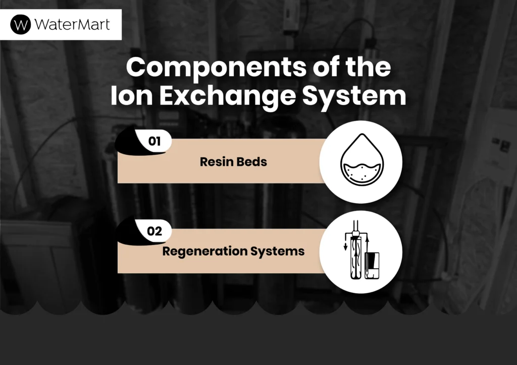 what is ion exchange process