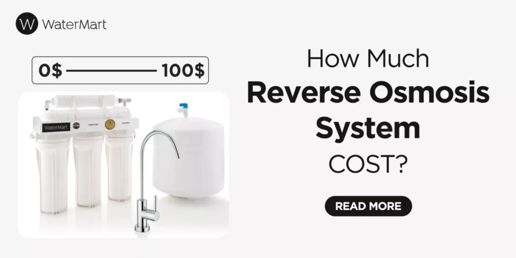  Reverse Osmosis System Cost