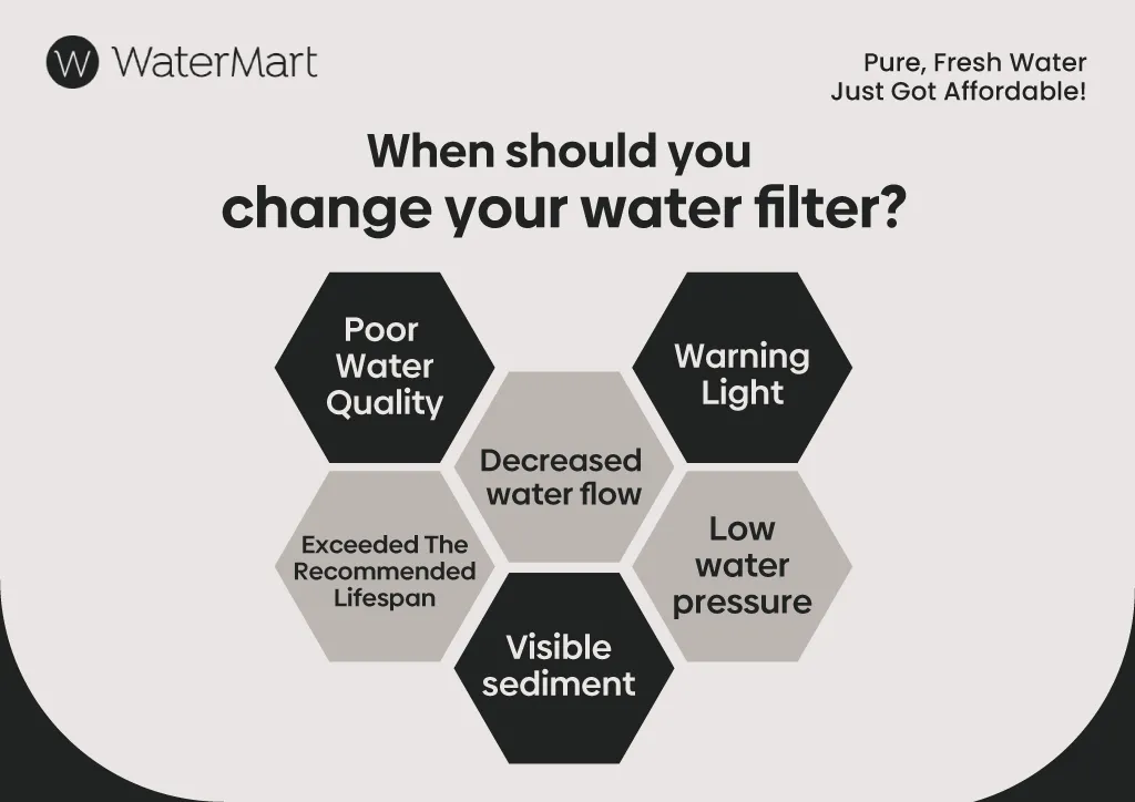 how often do you change water filter