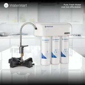 Pentair Multi-Stage Filtration System