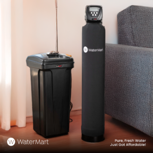 Whole House Ws1 GAC Carbon Filter