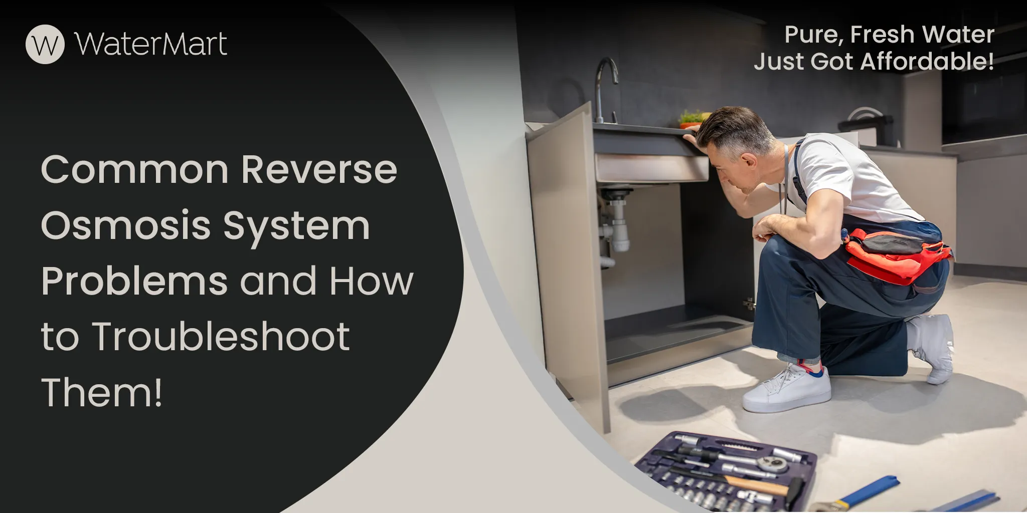 Common Reverse Osmosis System Problems