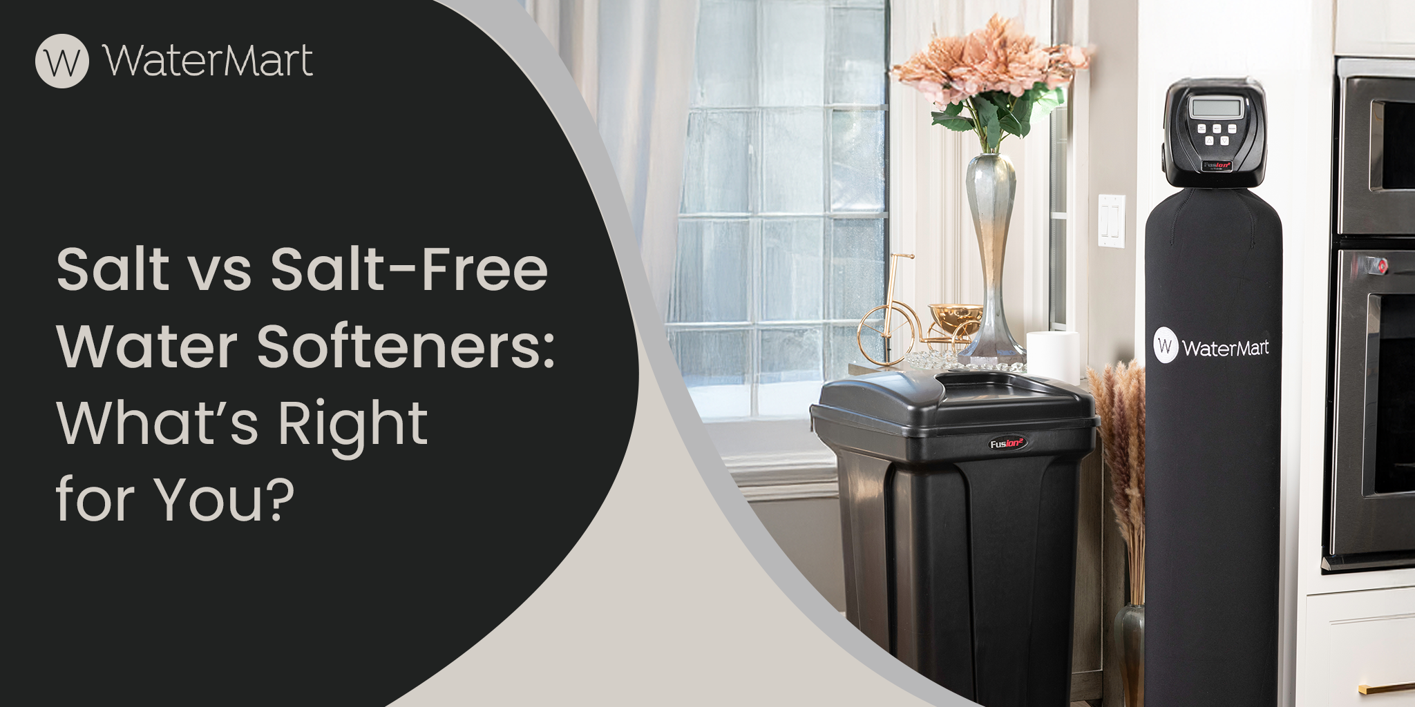 Salt vs Salt free Water Softener