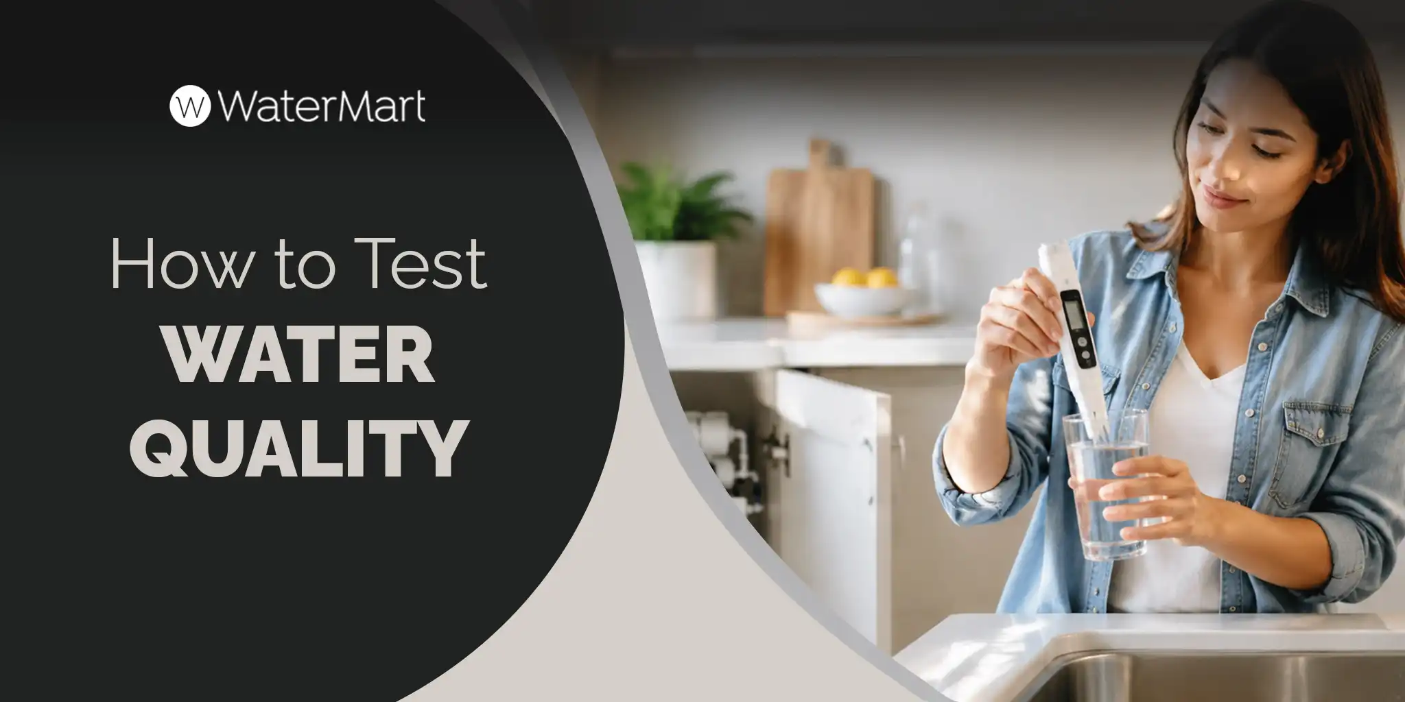 How to Test Water Quality